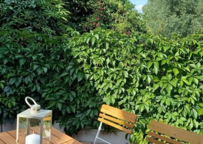 Gartenterrasse mit Holztisch und Stühlen, umgeben von üppigem grünen Gartengewächs, sommerliches Wetter, ideales Ambiente für Entspannung und Outdoor-Aktivitäten in der Natur.