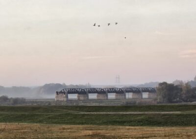 Alte Eisenbahnbrücke über die Elbe in Dömitz bei Sonnenaufgang, mit Nebel und fliegenden Vögeln, historisches Bauwerk in ruhiger Landschaft.